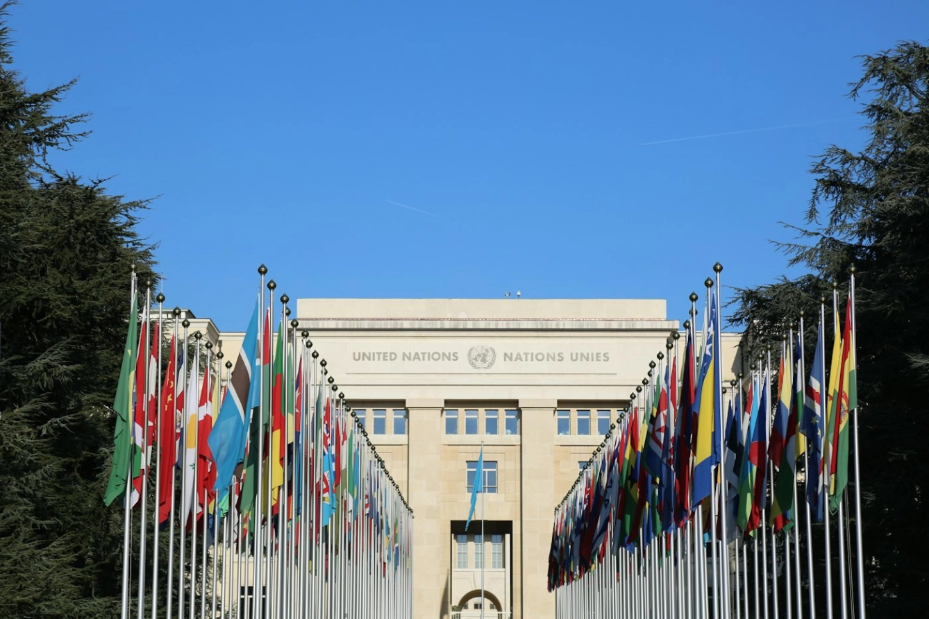 OSCE Media Freedom